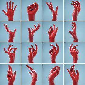 13 Female Hands Collection 3D model